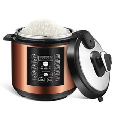 Electric Pressure Multi Cooker